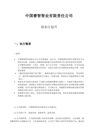 中国睿智智业有限责任公司商业计划书