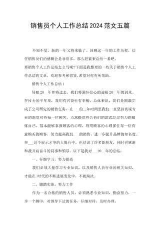 销售员个人工作总结2024范文五篇