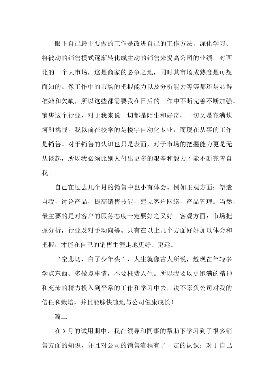 销售员个人试用期工作总结三篇_第3页