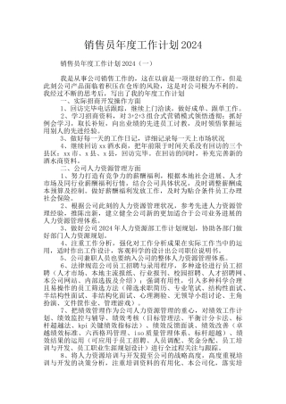 销售员年度工作计划2024