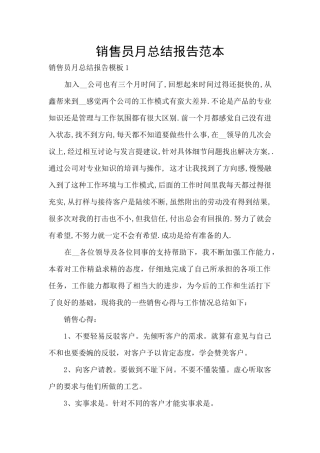 销售员月总结报告范本