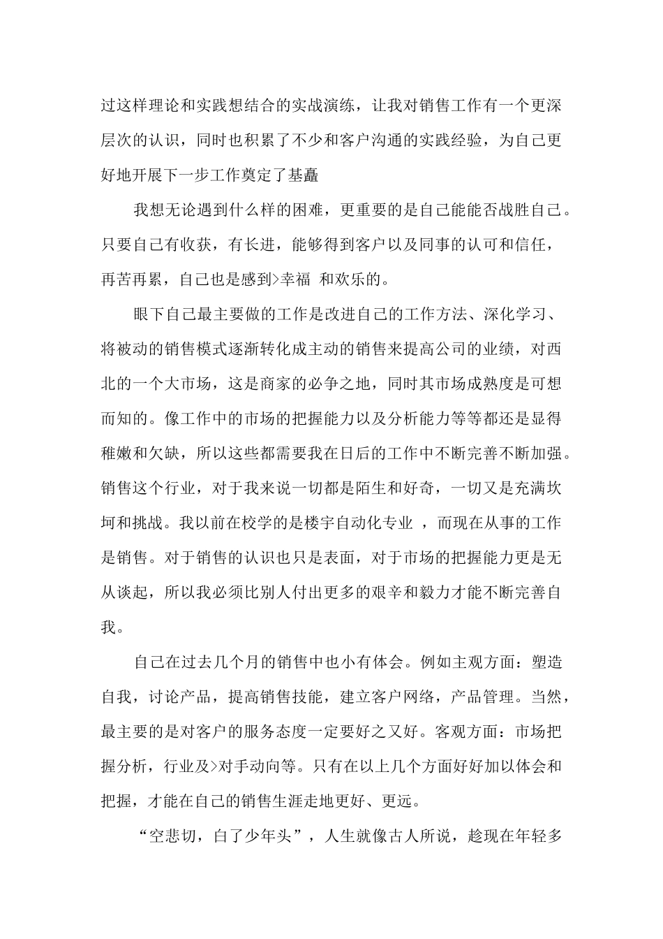 销售员试用期个人工作总结2024_第3页