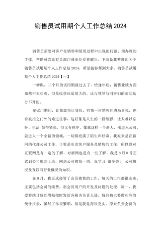 销售员试用期个人工作总结2024