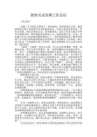 销售员试用期工作总结