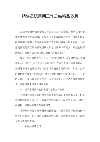 销售员试用期工作总结精品多篇
