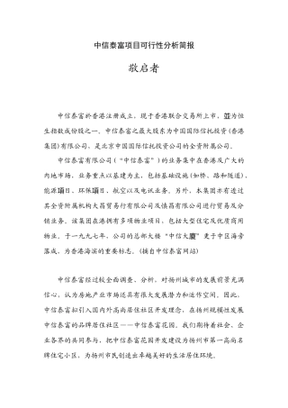 中信泰富项目可行性分析简报