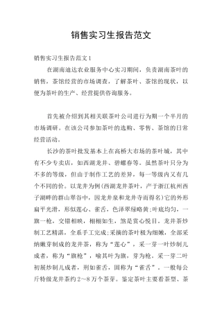 销售实习生报告范文