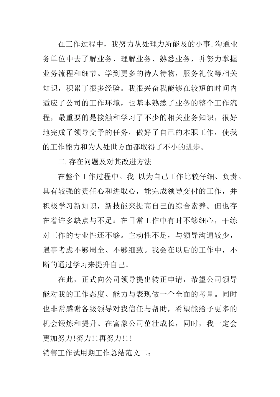 销售工作试用期工作总结_第3页