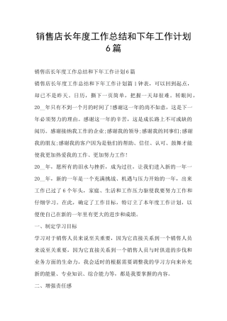 销售店长年度工作总结和下年工作计划6篇