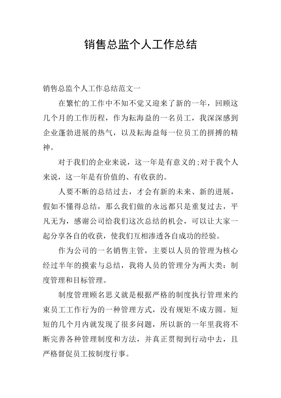 销售总监个人工作总结_第1页