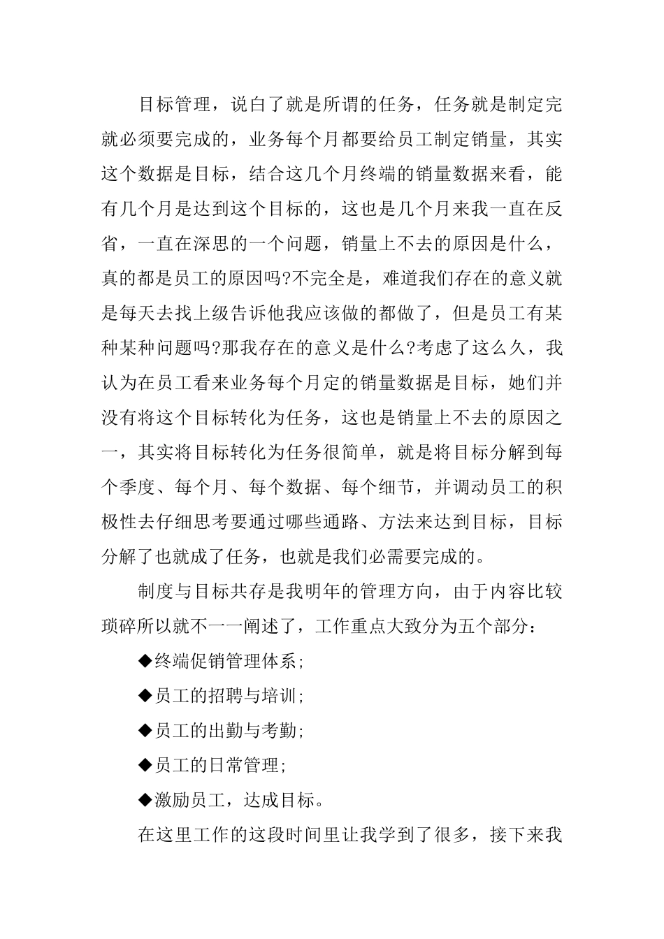 销售总监个人工作总结_第2页