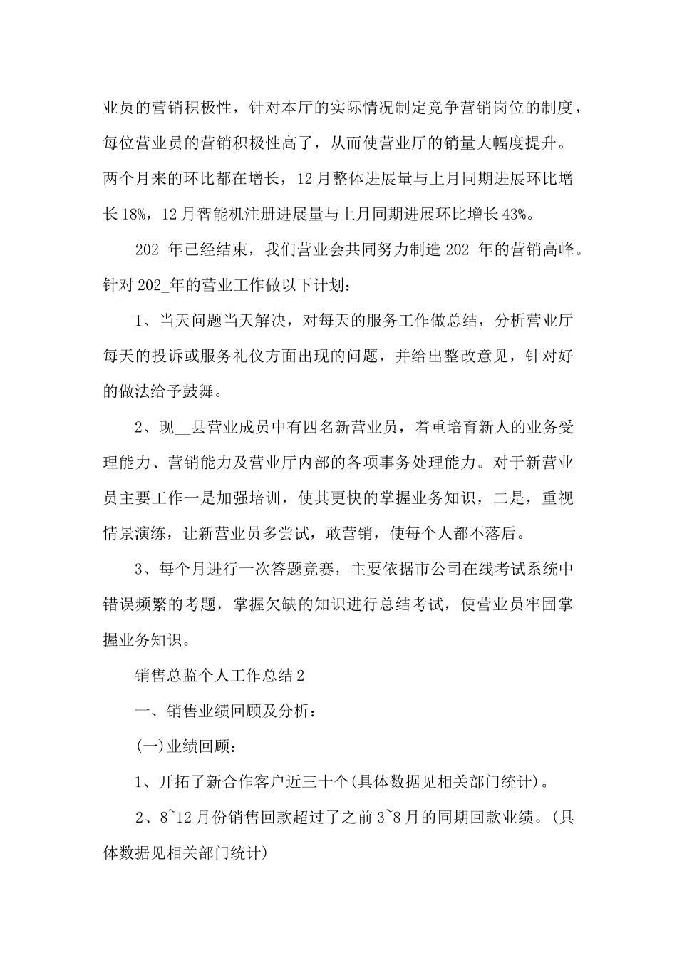 销售总监个人工作总结_第2页