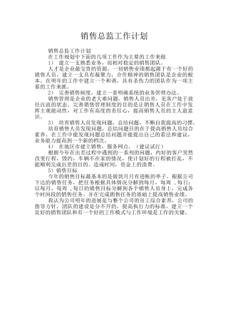 销售总监工作计划