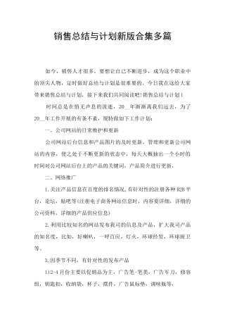 销售总结与计划新版合集多篇