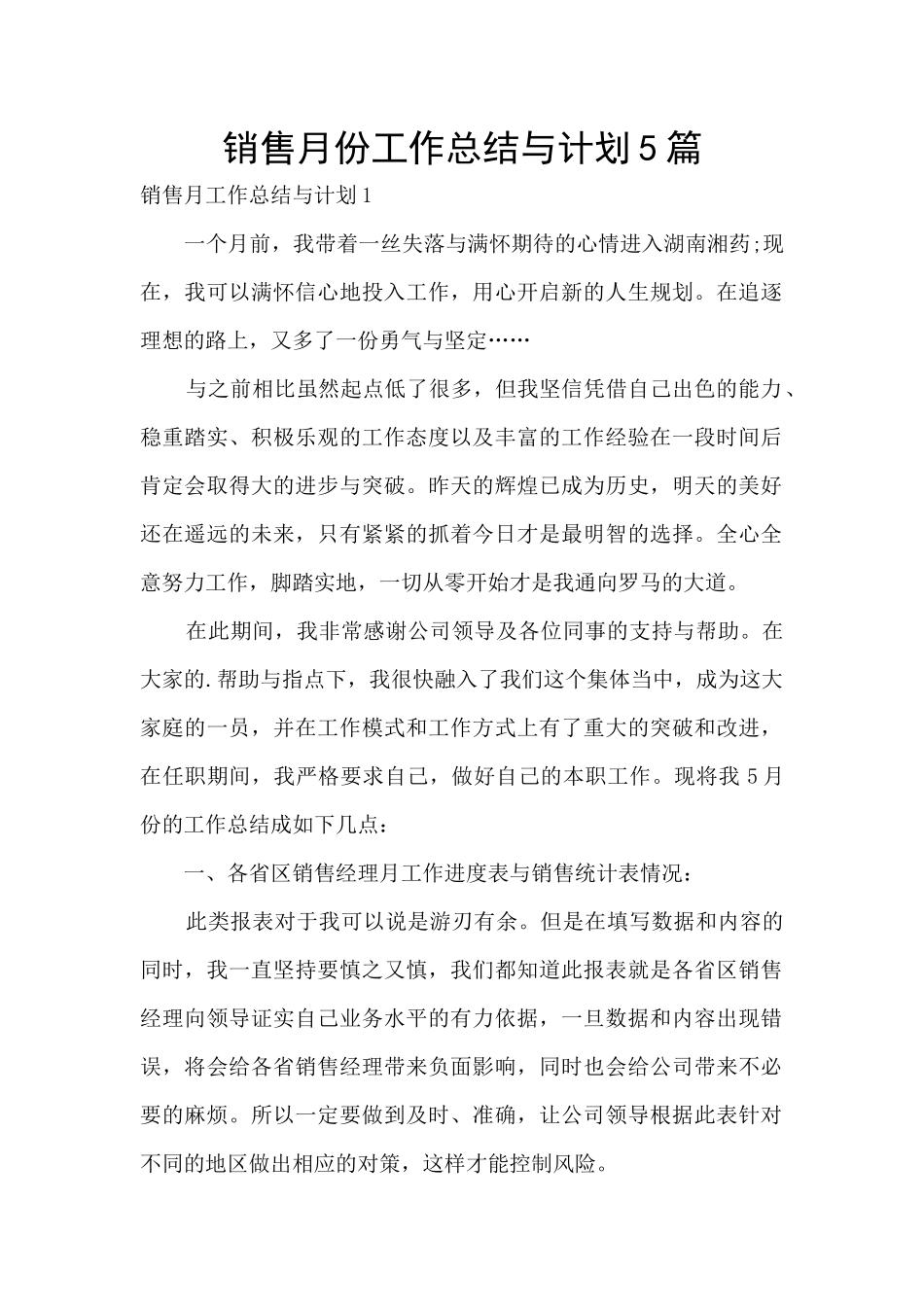 销售月份工作总结与计划5篇_第1页