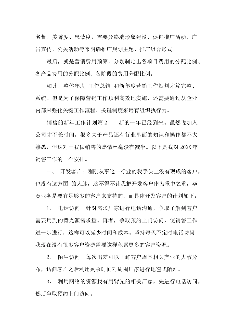 销售的新年工作计划优秀_第2页