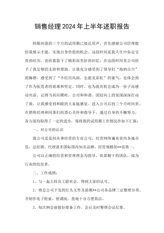 销售经理2024年上半年述职报告
