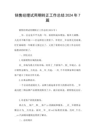 销售经理试用期转正工作总结2024年7篇