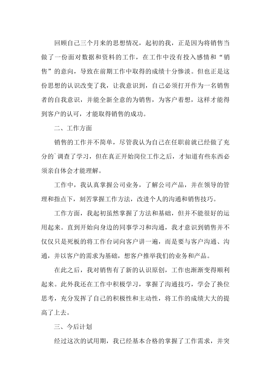 销售试用期工作总结汇编1_第3页