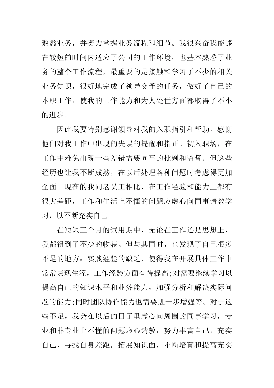 销售试用期总结范文_第2页