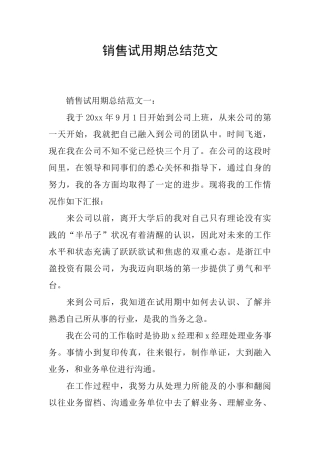 销售试用期总结范文
