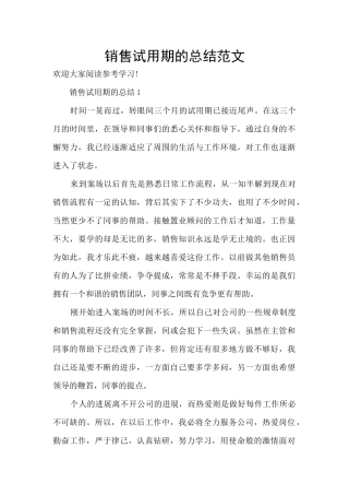 销售试用期的总结范文