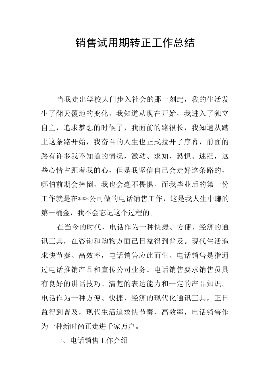 销售试用期转正工作总结_第1页