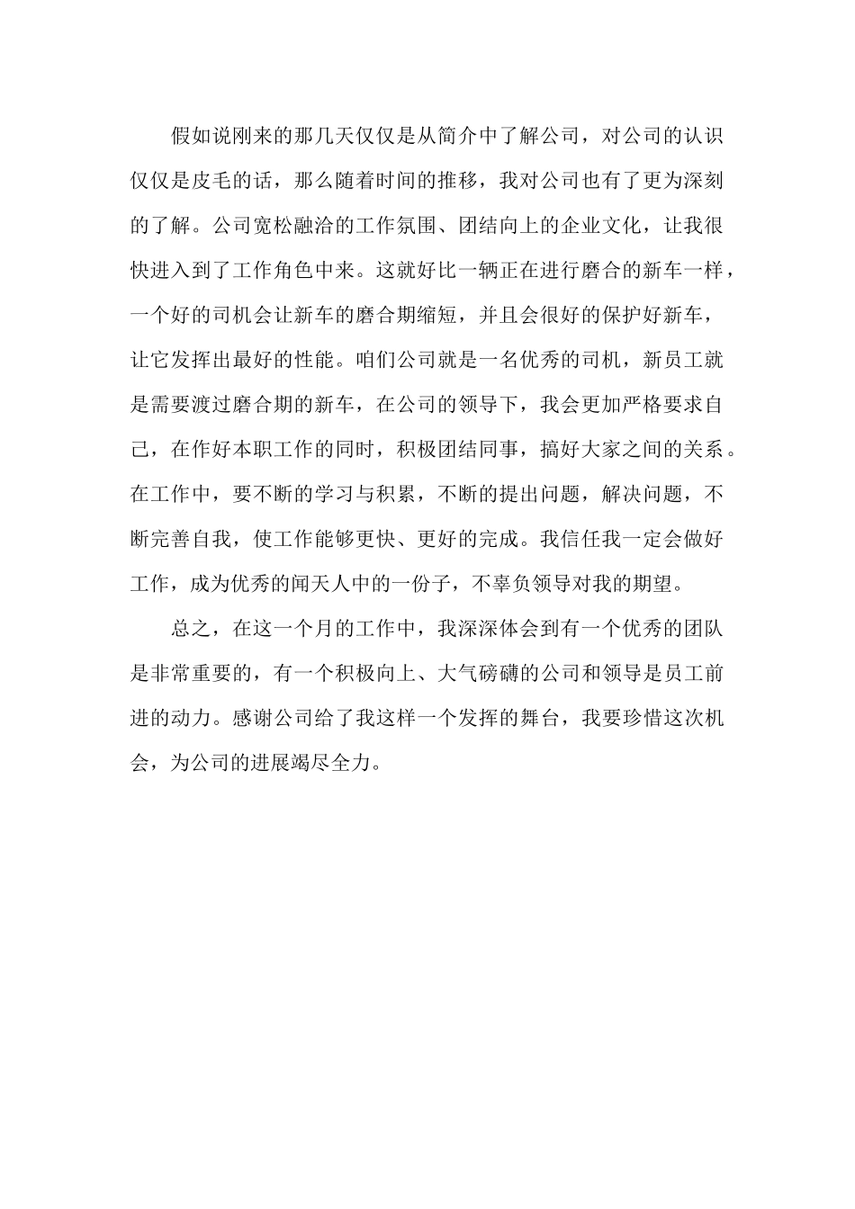 销售试用期转正工作总结三篇_第3页