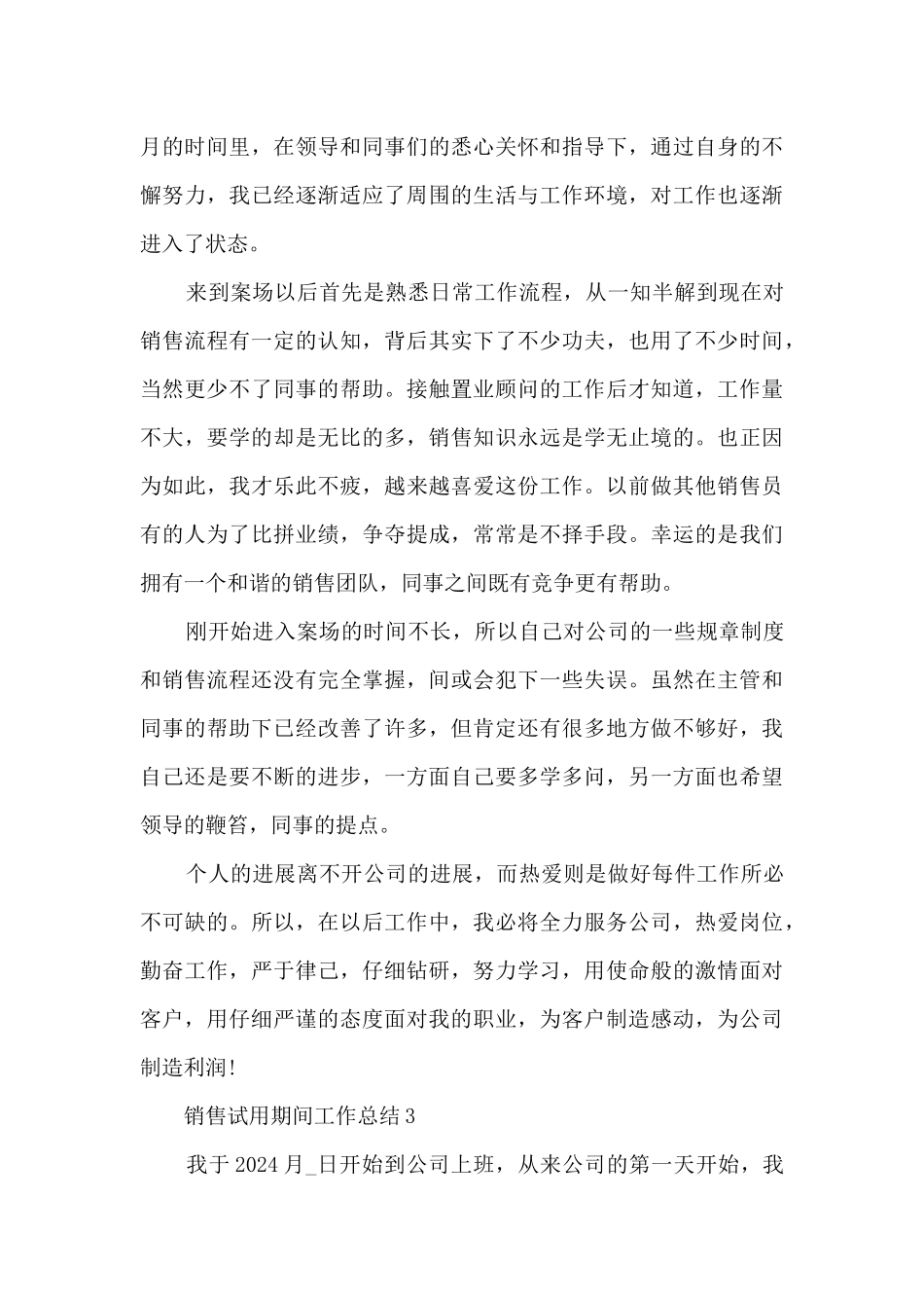 销售试用期间工作总结范文_第3页
