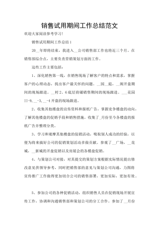 销售试用期间工作总结范文