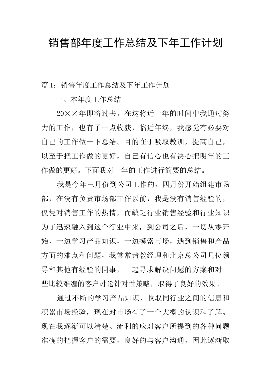 销售部年度工作总结及下年工作计划_第1页