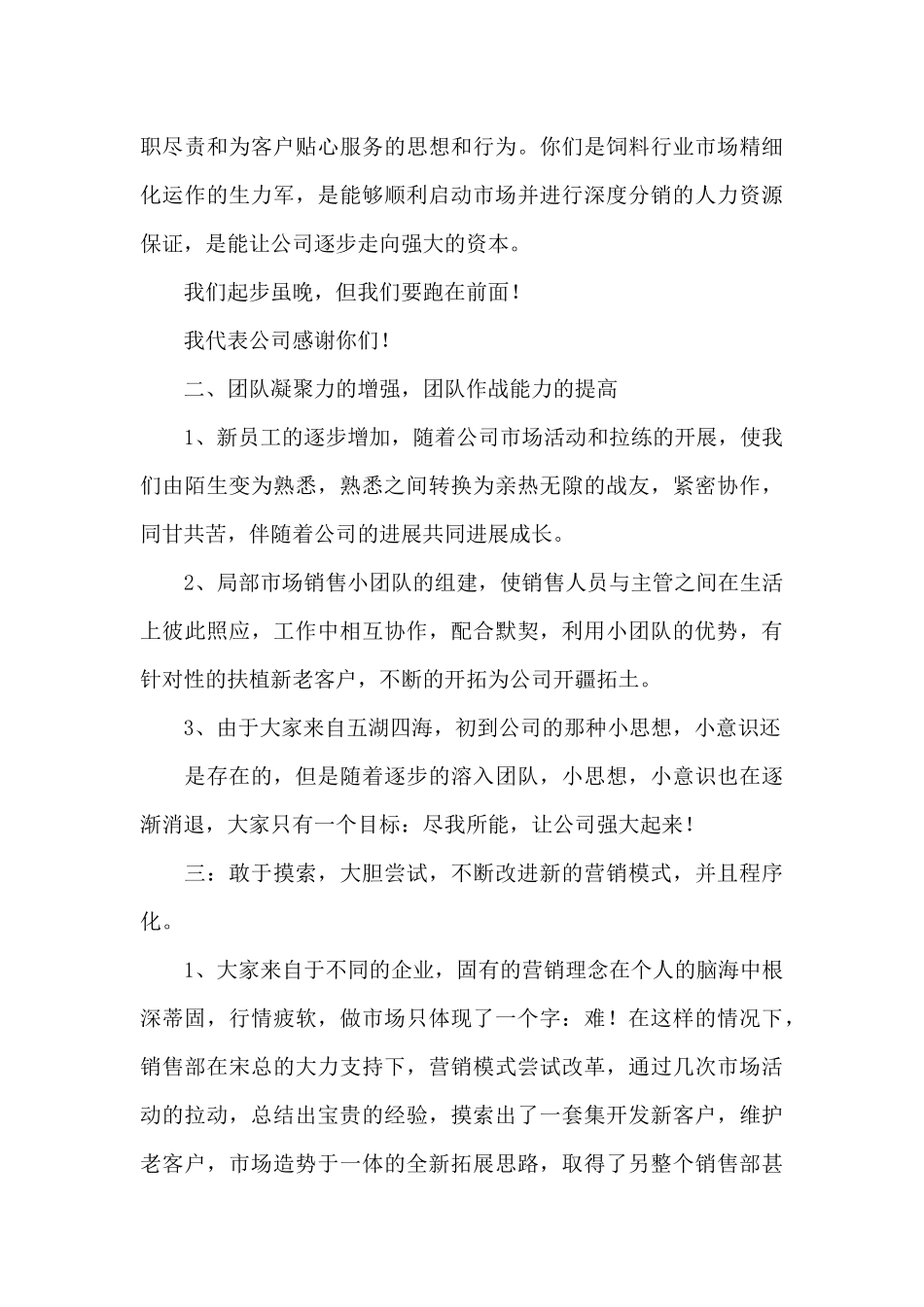 销售部年终工作总结_第3页