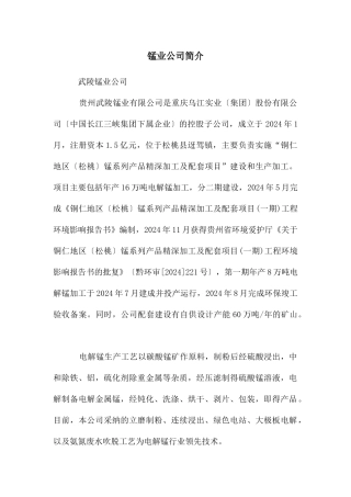 锰业公司简介
