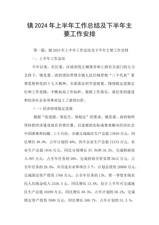 镇2024年上半年工作总结及下半年主要工作安排