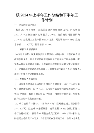 镇2024年上半年工作总结和下半年工作计划
