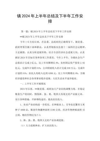 镇2024年上半年总结及下半年工作安排