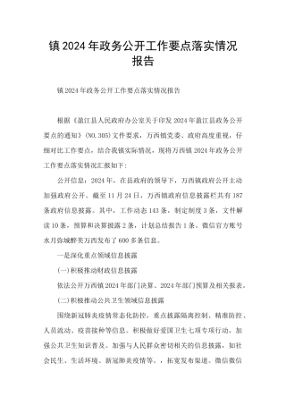 镇2024年政务公开工作要点落实情况报告