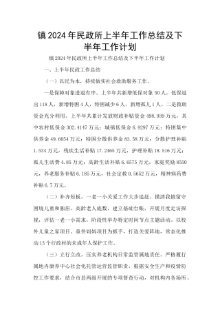 镇2024年民政所上半年工作总结及下半年工作计划
