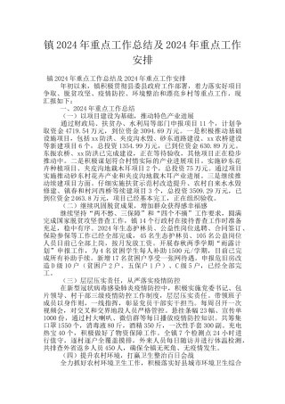 镇2024年重点工作总结及2024年重点工作安排