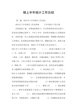 镇上半年统计工作总结