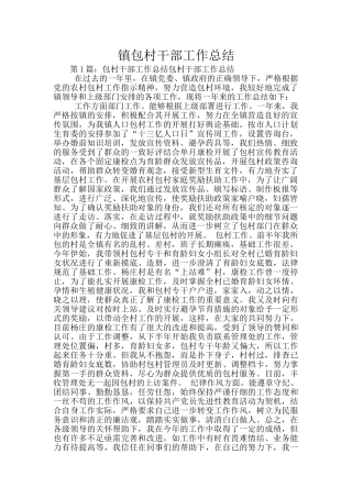 镇包村干部工作总结