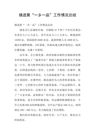镇发展“一乡一品”工作情况总结