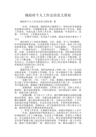 镇政府个人工作总结范文简短