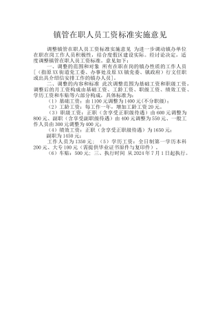 镇管在职人员工资标准实施意见
