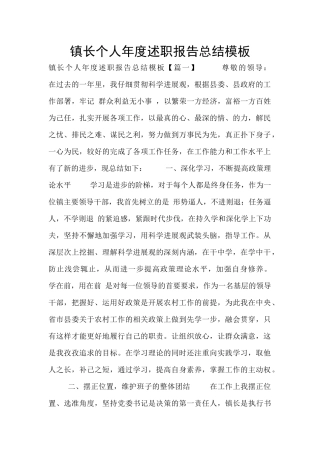 镇长个人年度述职报告总结模板