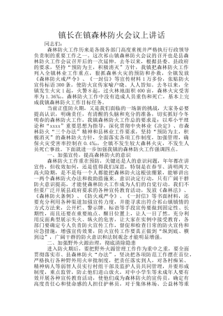 镇长在镇森林防火会议上讲话