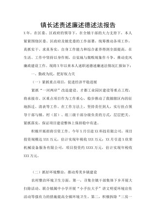 镇长述责述廉述德述法报告