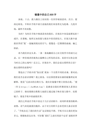 镜像中的自己600字