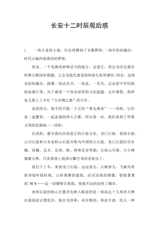 长安十二时辰观后感