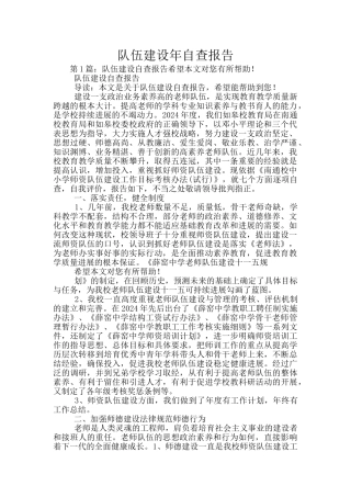 队伍建设年自查报告